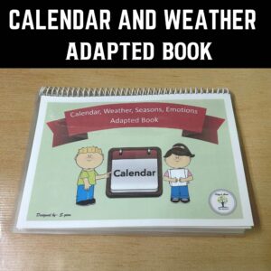Calendar And Weather Activity Book