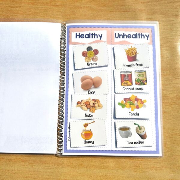 Healthy and Unhealthy Food Sorting