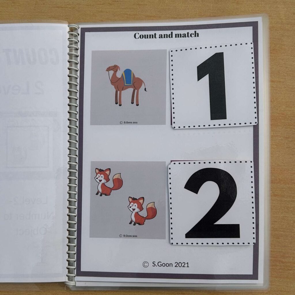 Counting in 10s Two Level Activities - Resource For Teacher