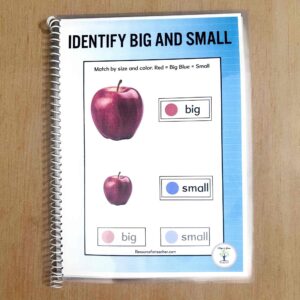Big and Small Sort