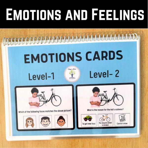 Emotions and feelings identification
