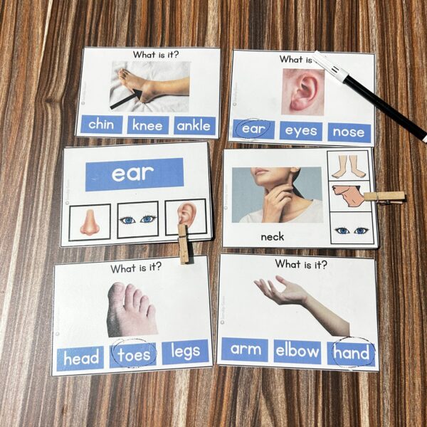 Body parts task cards