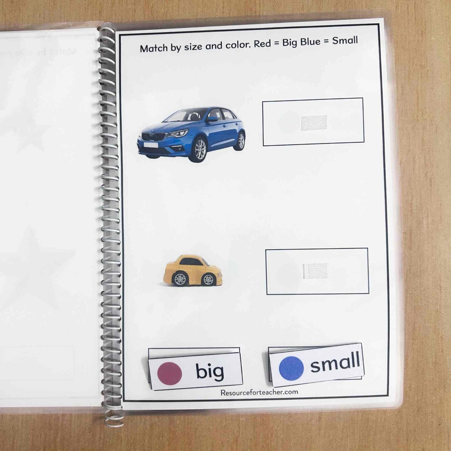 Big and Small Sorting Activities - Resource For Teacher