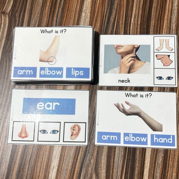 Body Parts Flash Cards