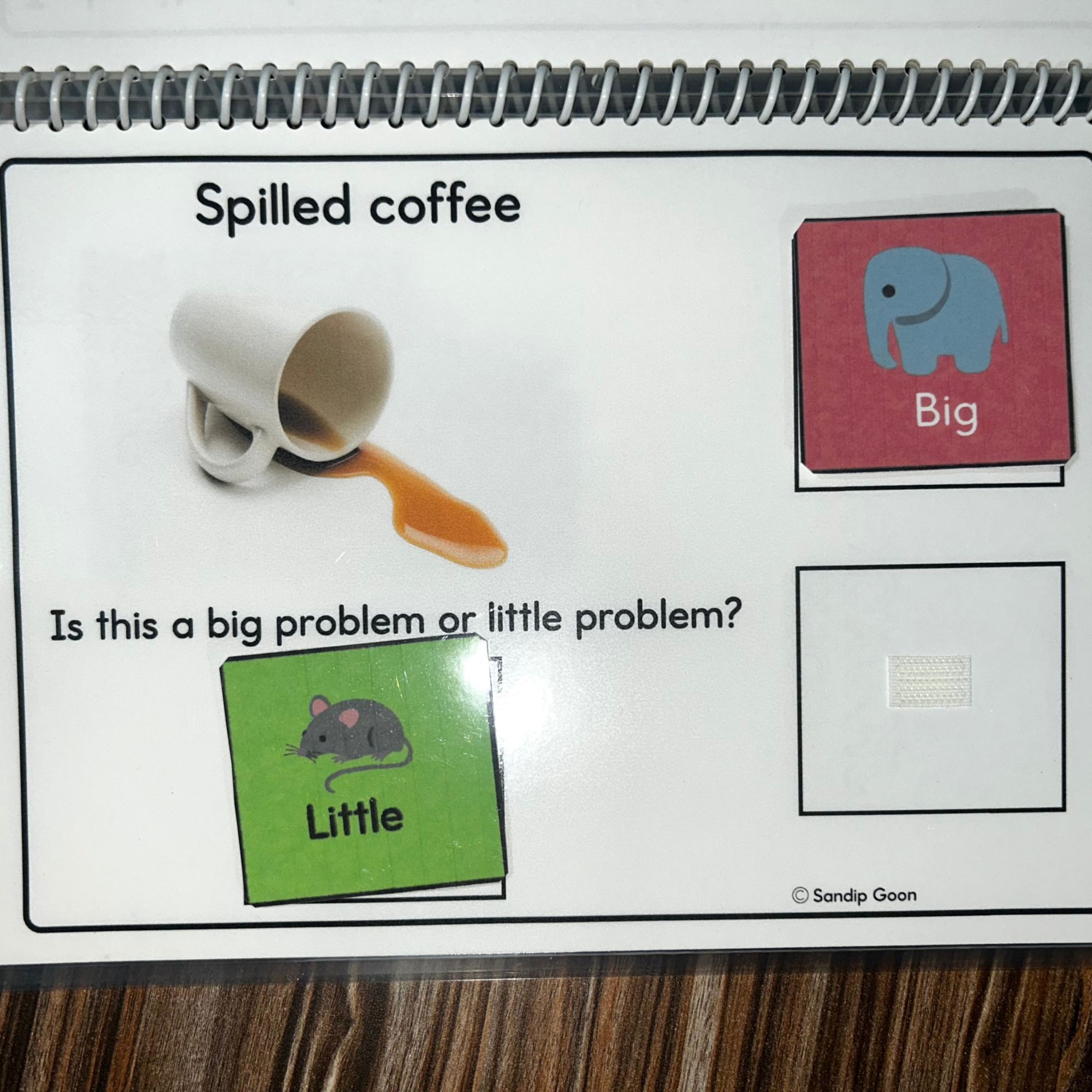 Size of the problem activities