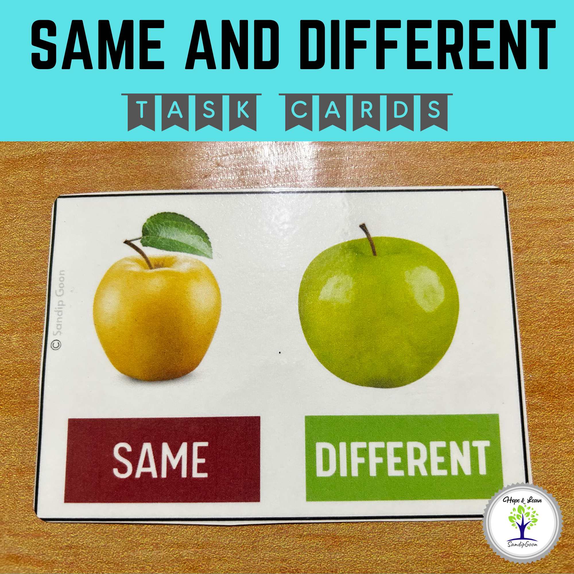 Same and Different Activity