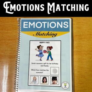 Emotions Matching Activity