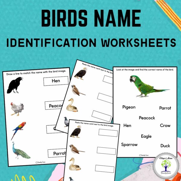 Birds Name Identification Worksheets