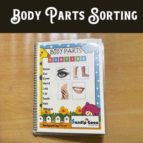 Body Parts for Kindergarten