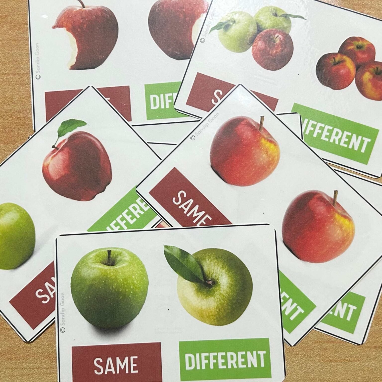 Same and Different Activity - Task Cards - Resource For Teacher