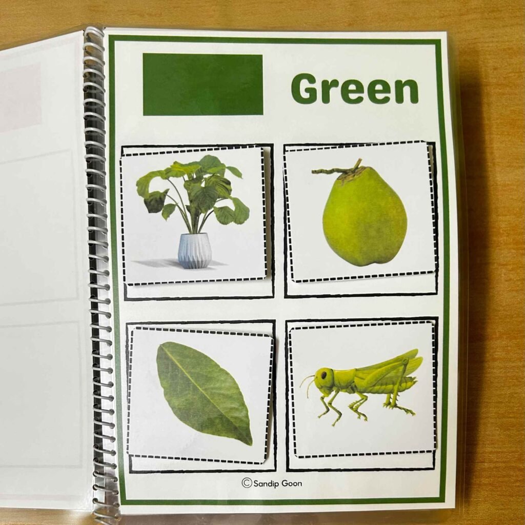 Colour Sorting Activity for Preschoolers - Resource For Teacher