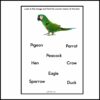 Birds Name worksheet
