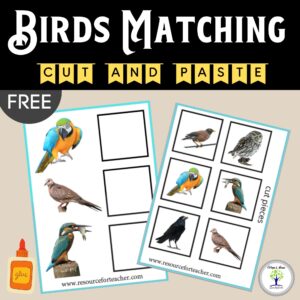 Birds Matching Worksheets