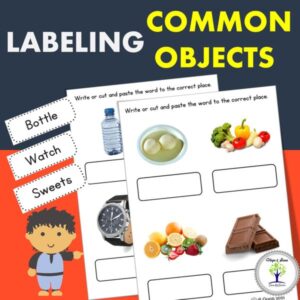 Labeling 108 Common Objects