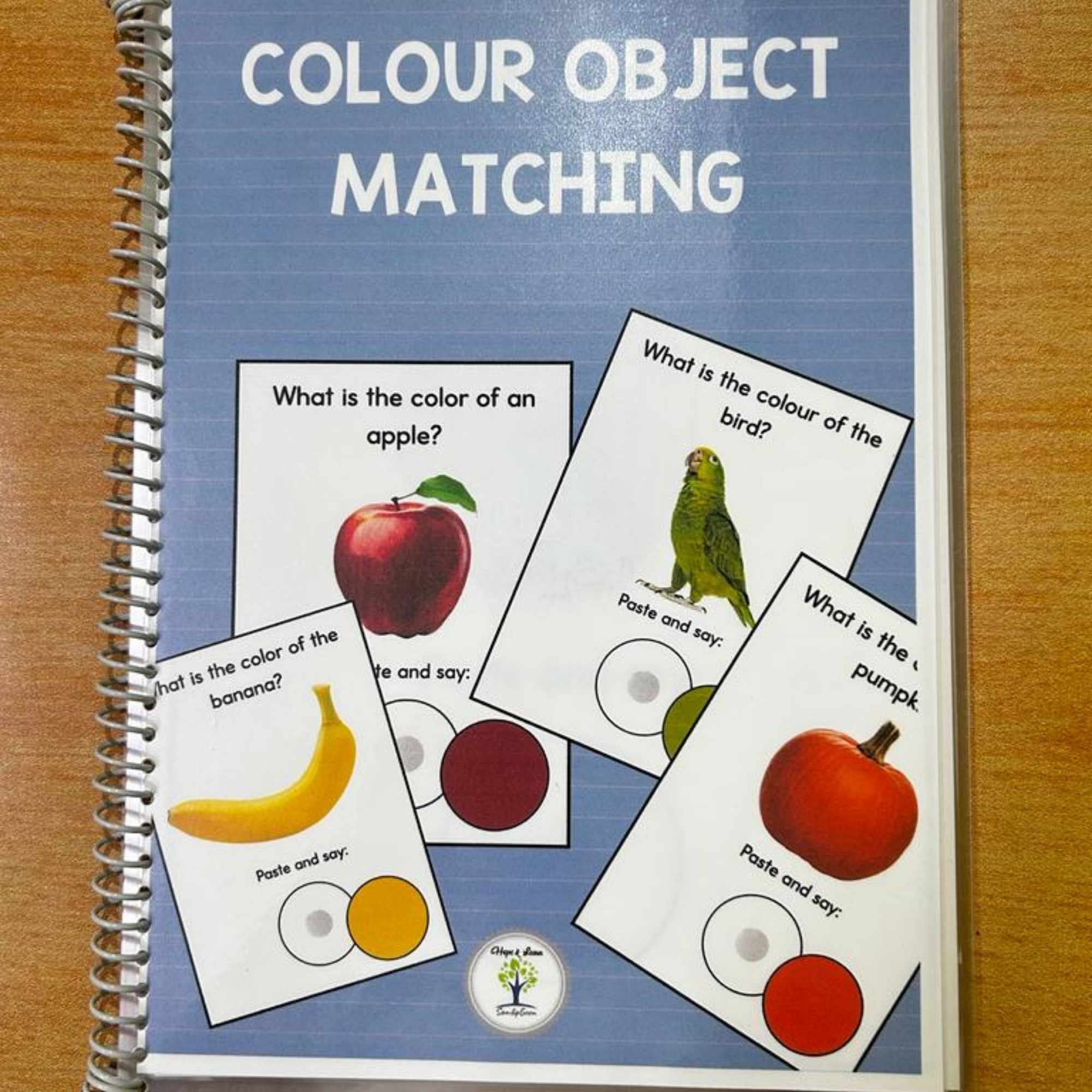 Matching the Objects to its Colors