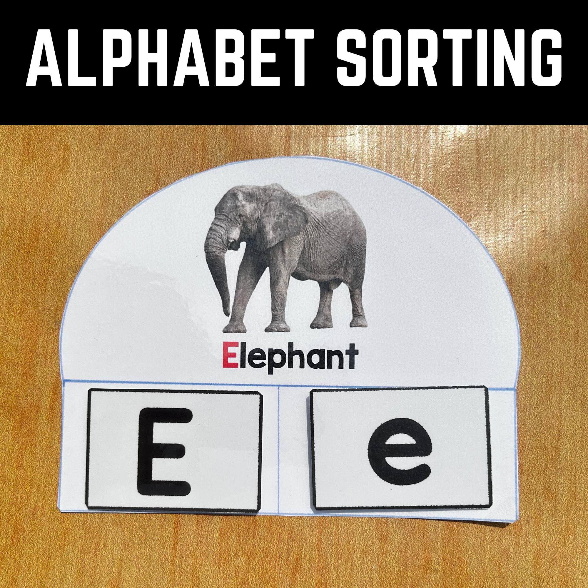 Alphabet Sorting Activity