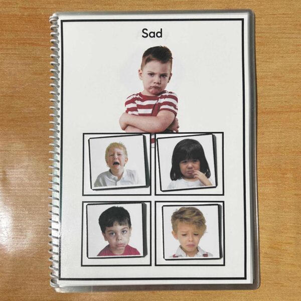Emotions Sorting Activity