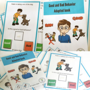 Good and Bad Behaviour Adapted Book - Resource For Teacher