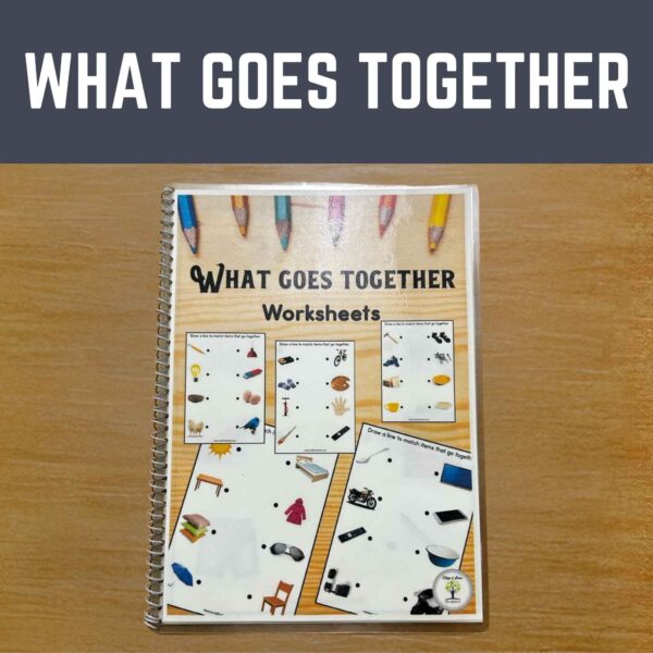What Goes Together Worksheets