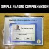 Simple Reading Comprehension