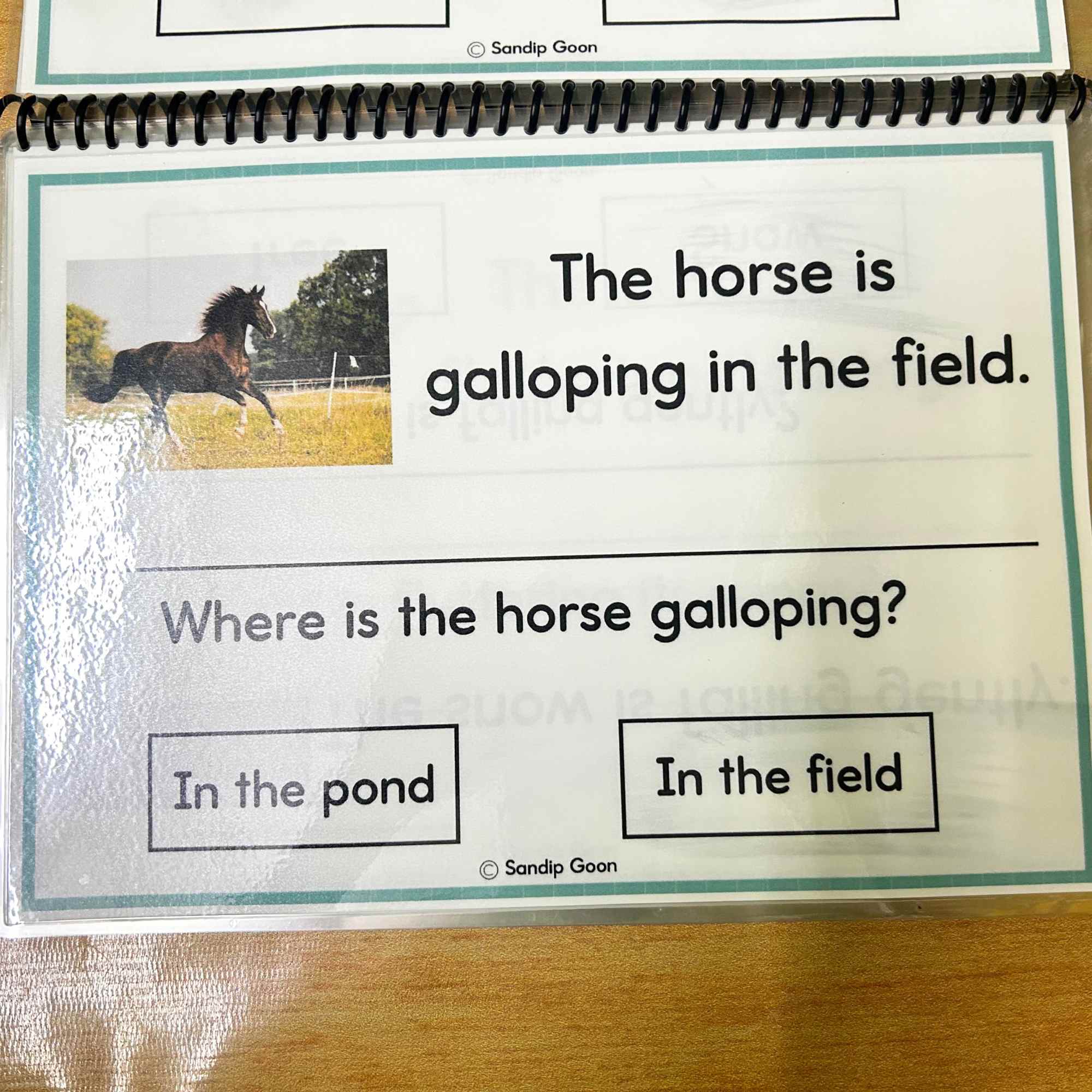 Simple Reading Comprehension Activity - Image 3