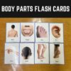 Body Parts Flash Cards