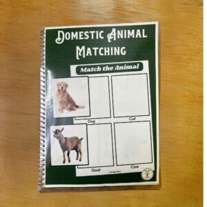 Domestic Animals Match the Following