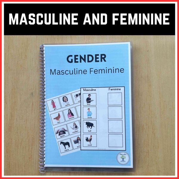 masculine and feminine engaging worksheet