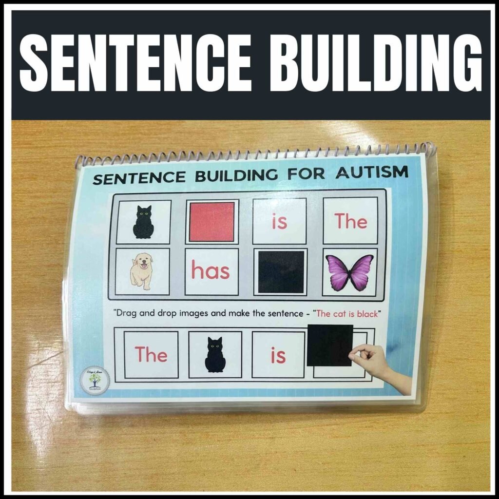 Sentence Building for Autism - Resource For Teacher
