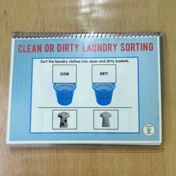 Life Skills Laundry Sorting Activity