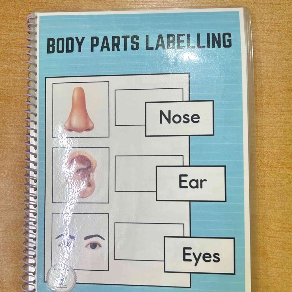 Body Parts Labelling Adapted Book for Autism - Resource For Teacher