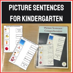 Picture Sentences for Kindergarten