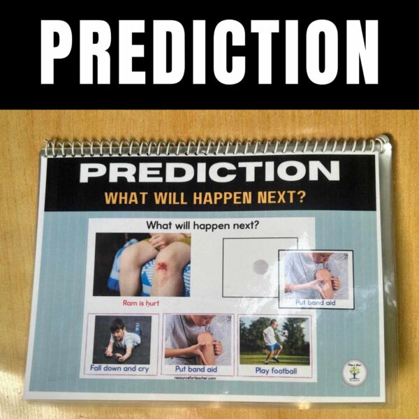 Making Predictions Activities