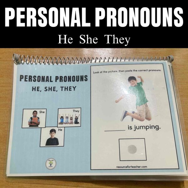 Pronouns Speech Therapy Activities