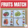 Fruit Identification Cards for Early Learners