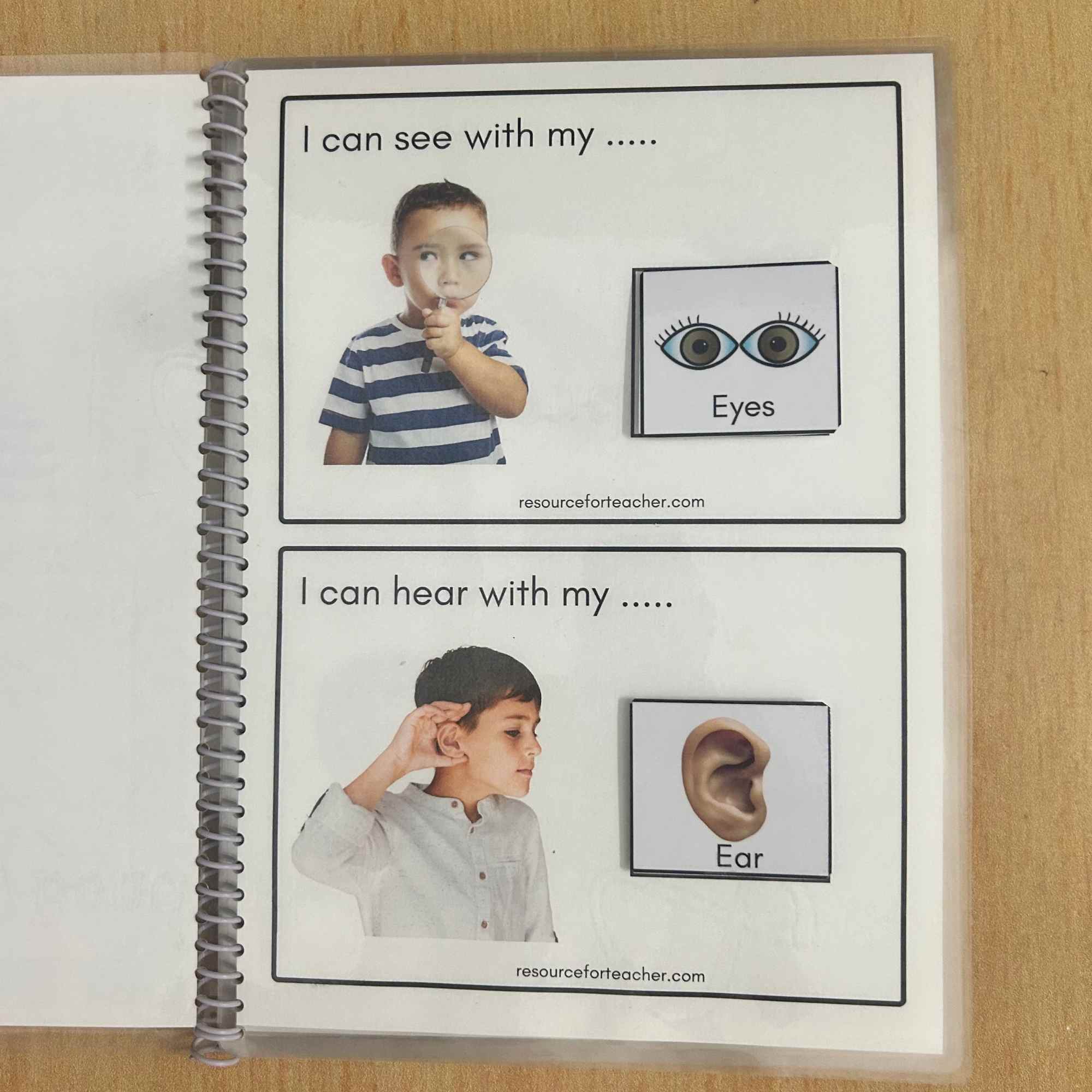 Uses of Body Parts - Image 2