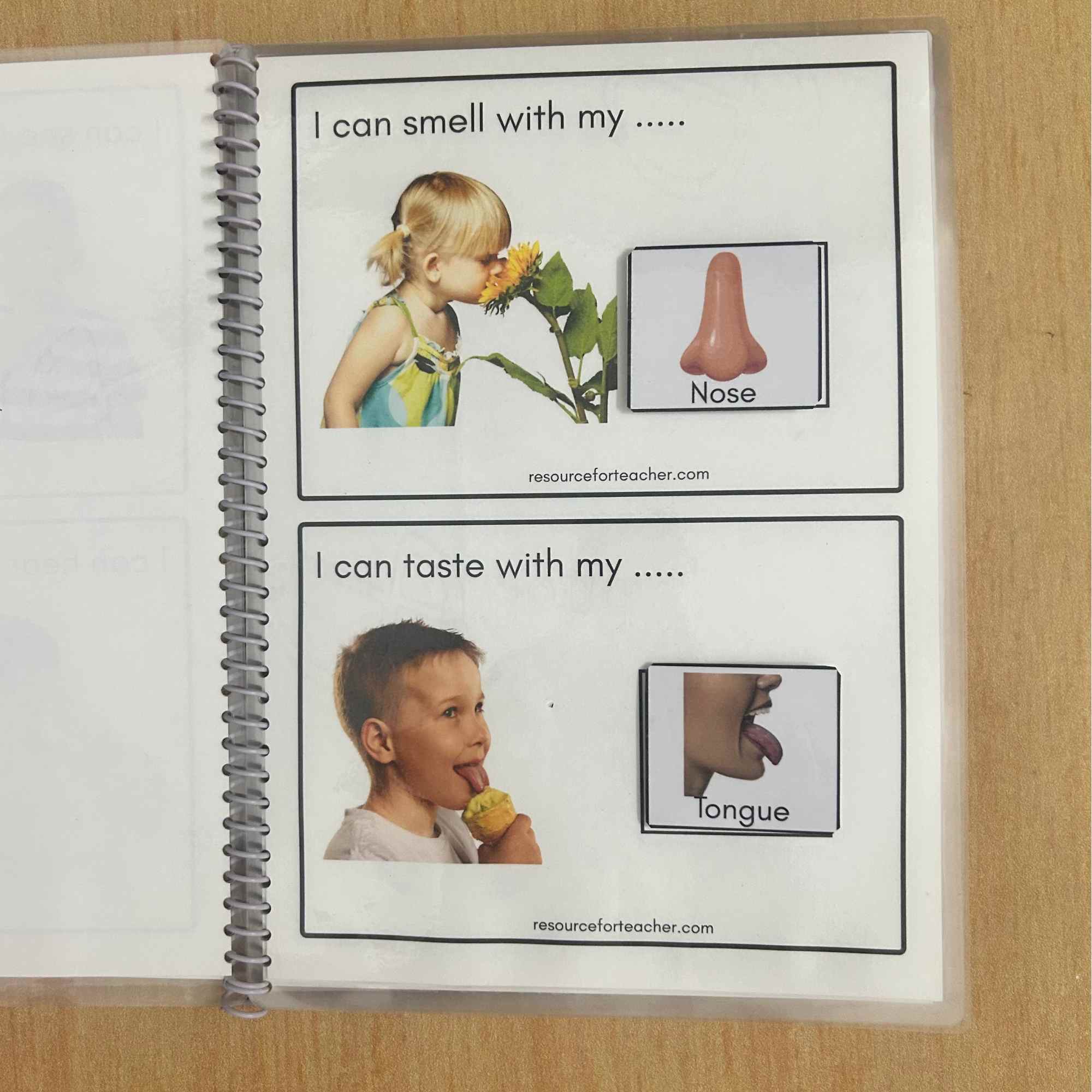 Uses of Body Parts - Image 3