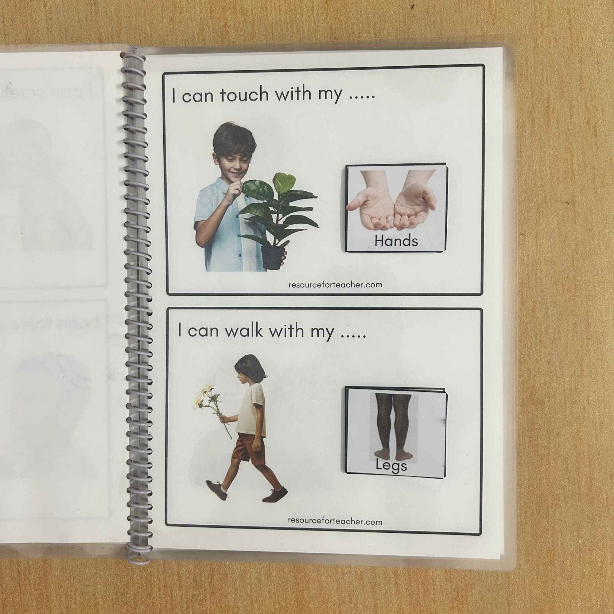 Uses of Body Parts - Image 4