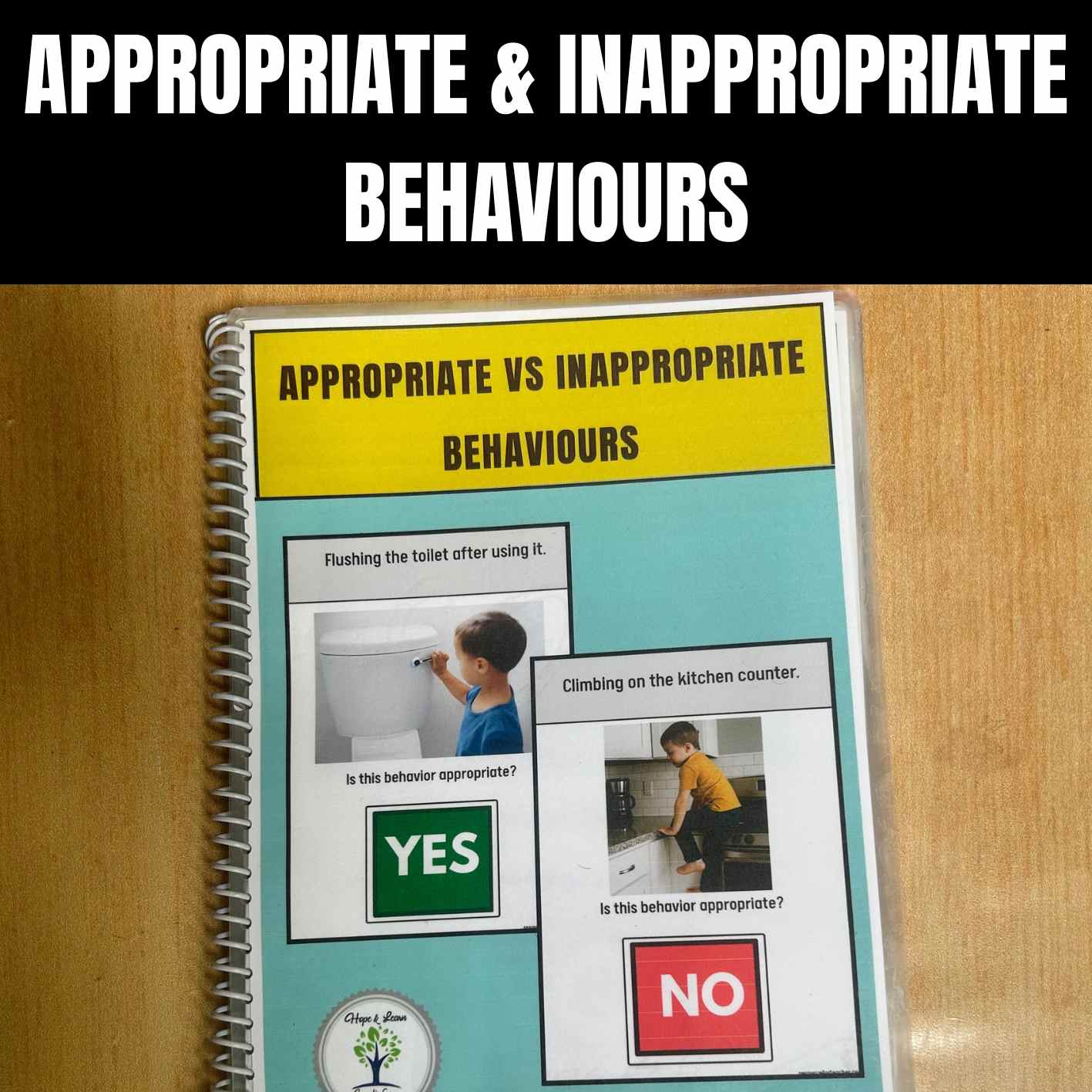 Appropriate And Inappropriate Behaviours
