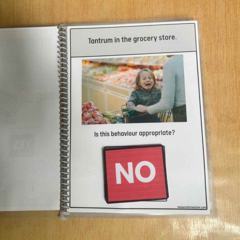 Appropriate And Inappropriate Behaviours - Resource For Teacher