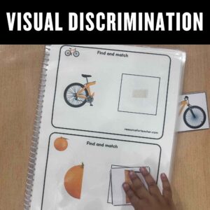 Visual Discrimination Worksheet for Kids