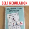 Self Regulation Visuals and Worksheets
