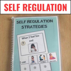 Self Regulation Visuals and Worksheets
