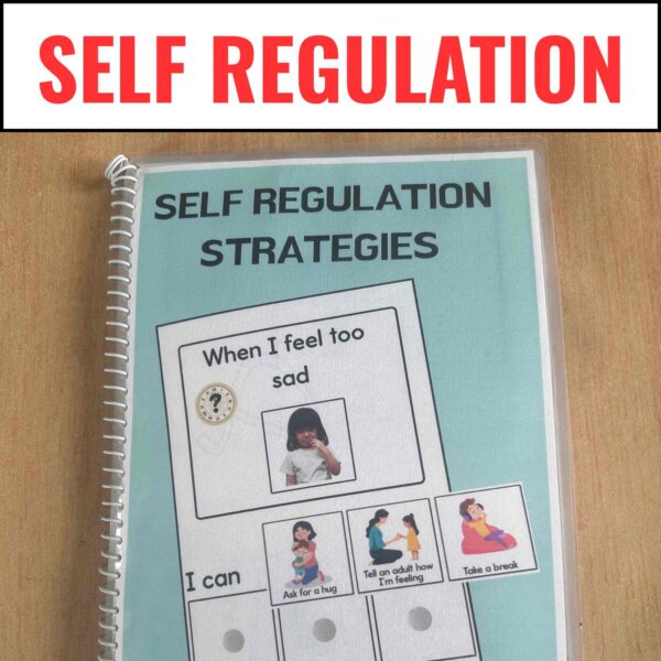 Self Regulation Visuals and Worksheets