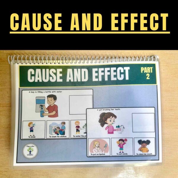 Cause and Effect Activities