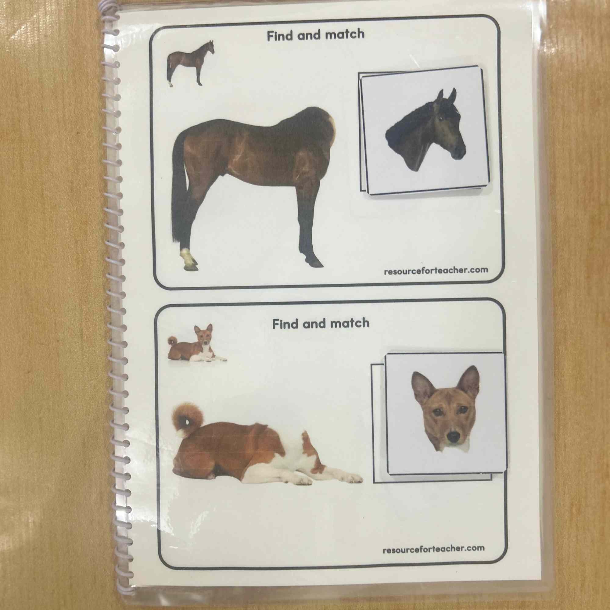 Visual Discrimination Worksheet for Kids - Image 2