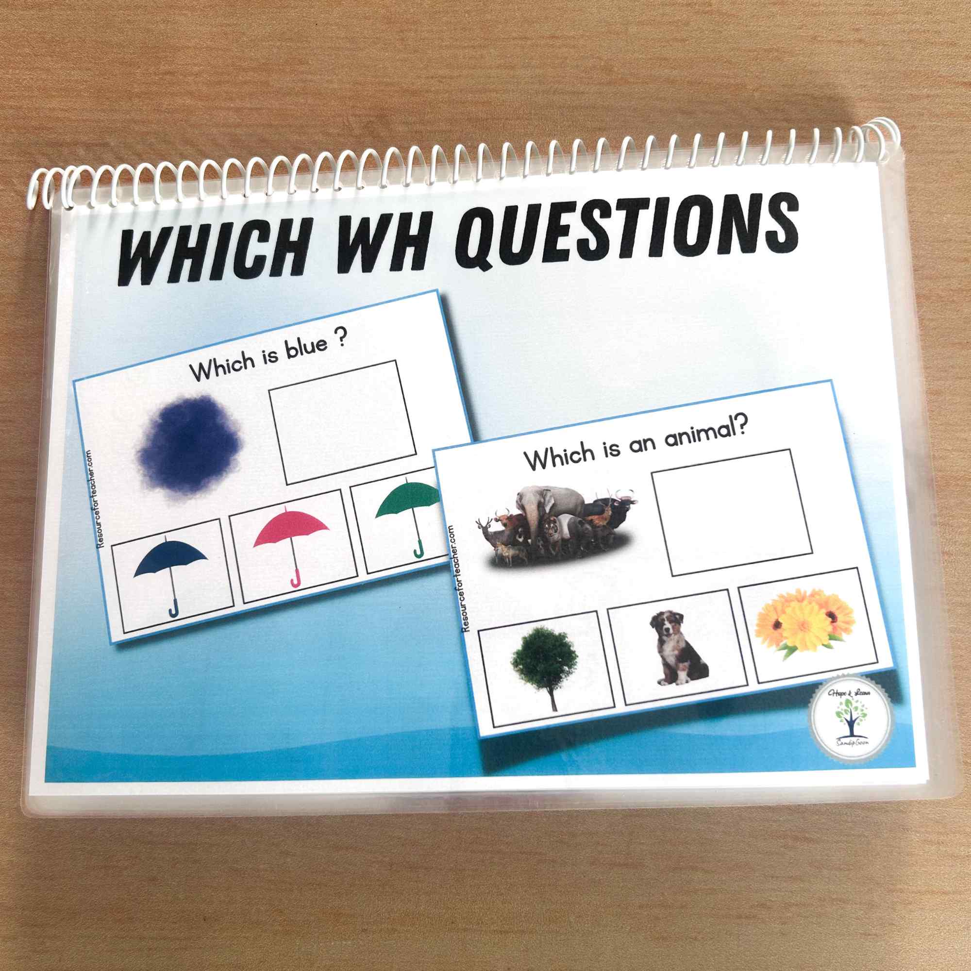 Which WH Questions for Speech Therapy