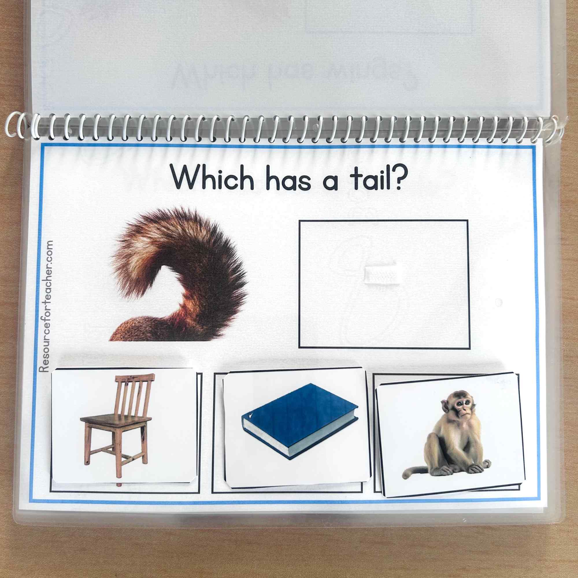 Which WH Questions for Speech Therapy - Image 3