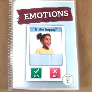Identifying Emotions Yes or No Adapted Book
