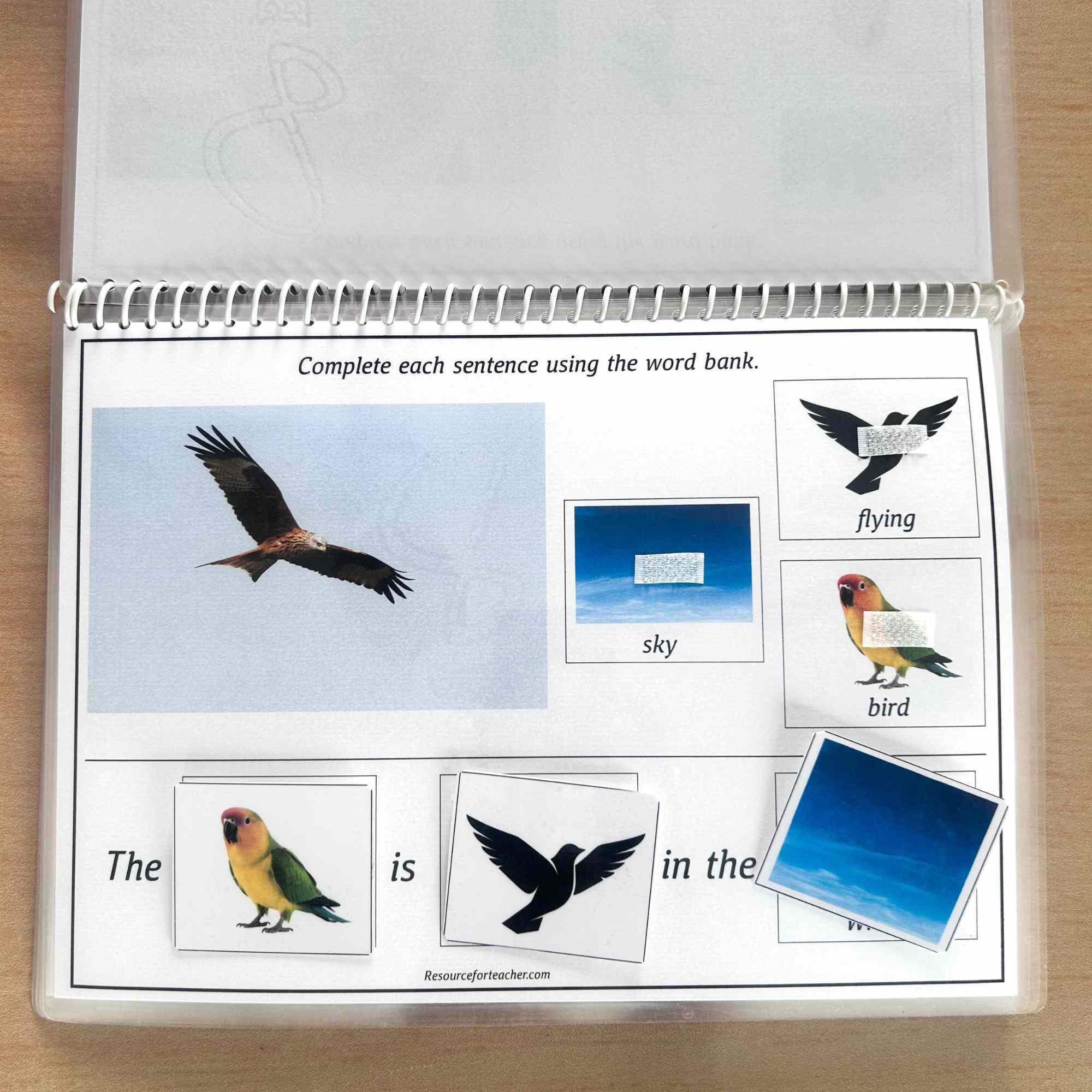 Sentence Building for Speech Therapy - Image 3